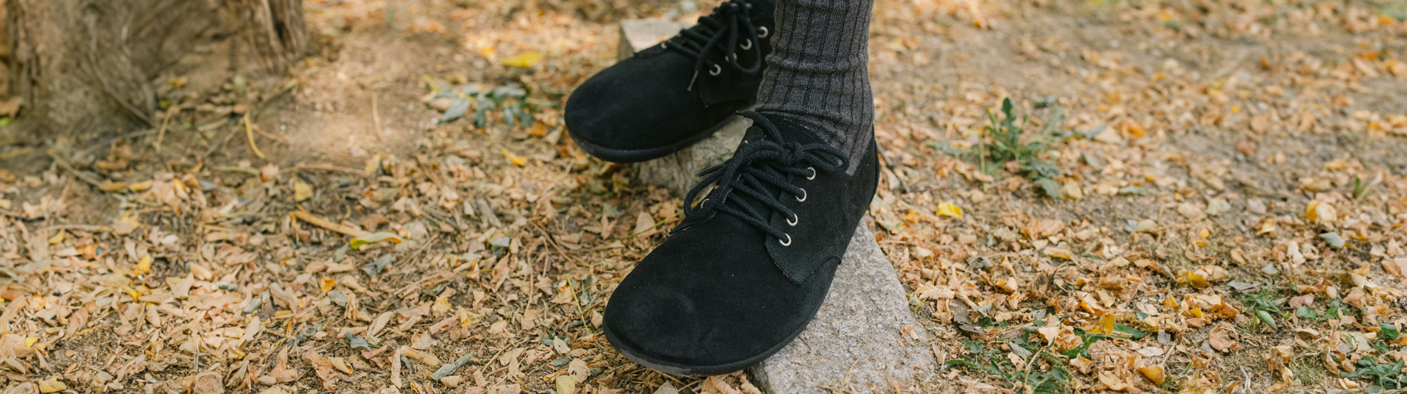 Scarpe Blucher