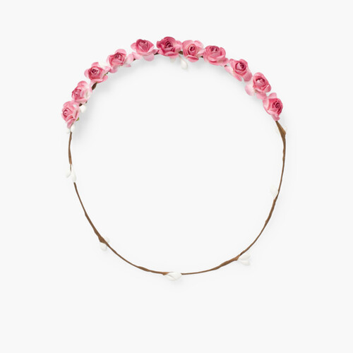 Fascia di fiori Rosa Francia