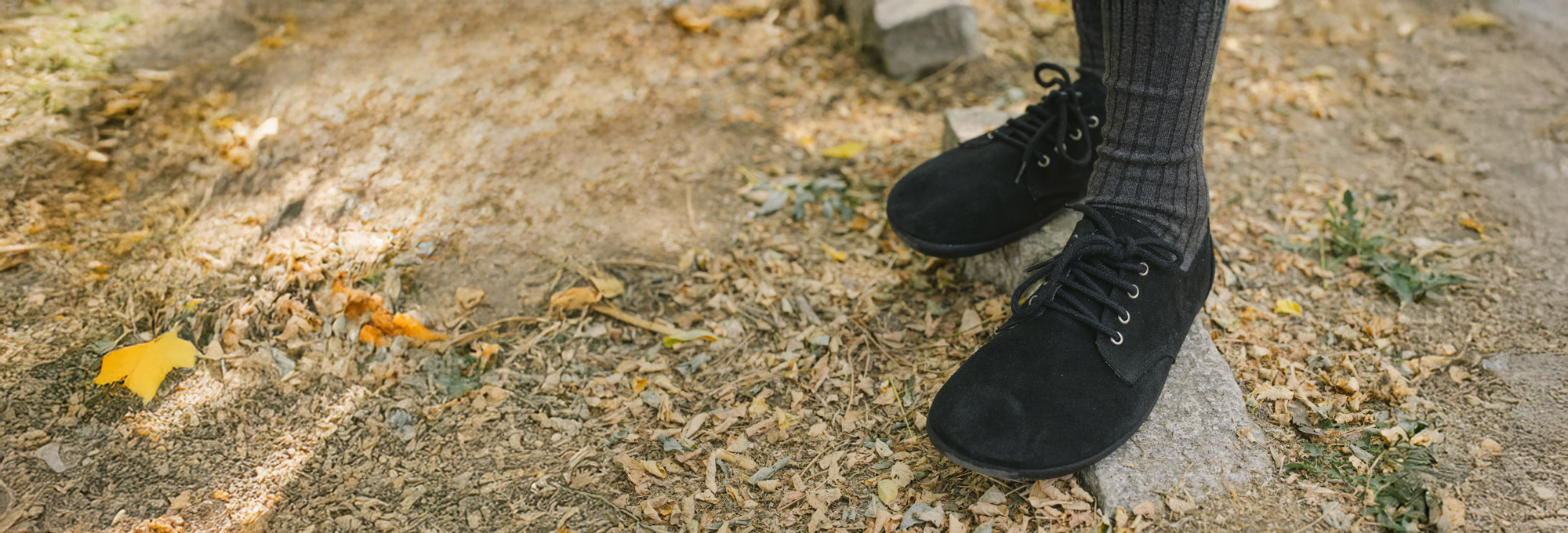 PASSEGGIATE D’AUTUNNO